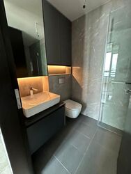 Irwell Hill Residences (D9), Apartment #630793411